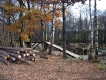 DSCF0049